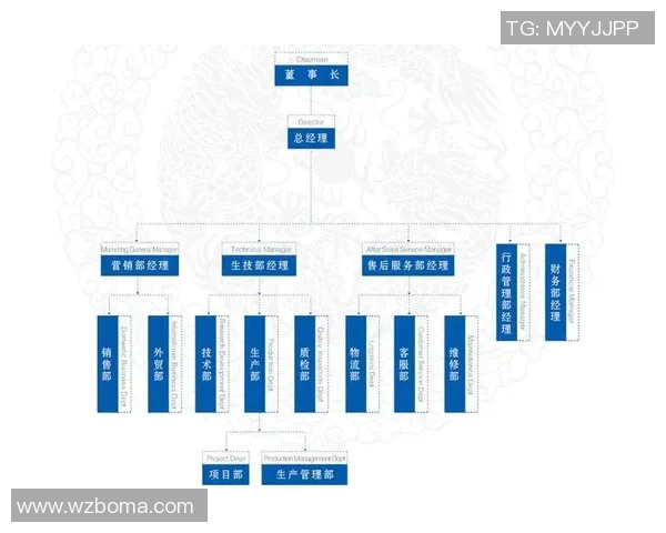 探索上海体育器材市场的创新发展与未来趋势分析