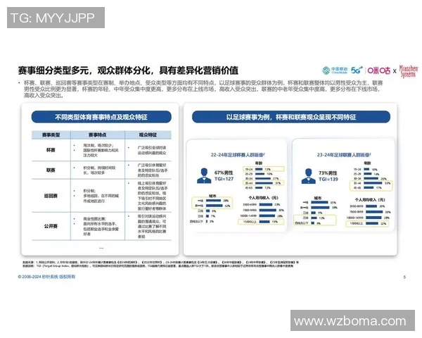 明星篮球的销售策略与市场分析探讨如何提升品牌价值与消费者认同感